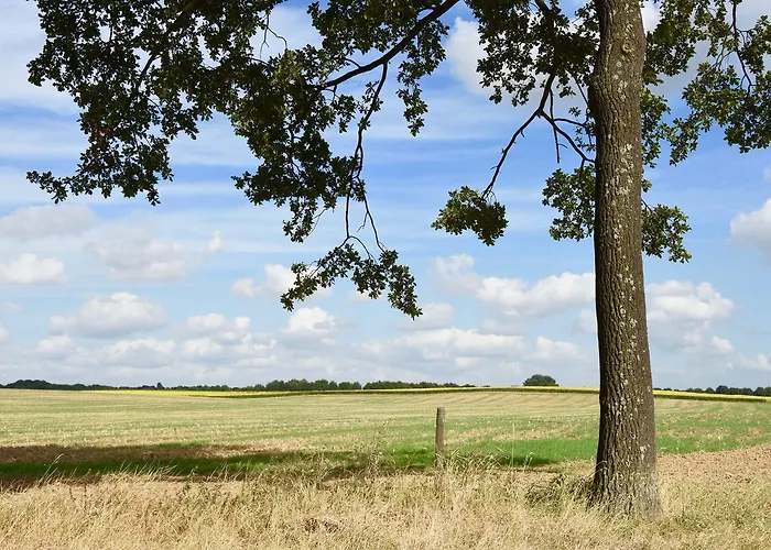 فندق مبيت وإفطار De Hagendoorn