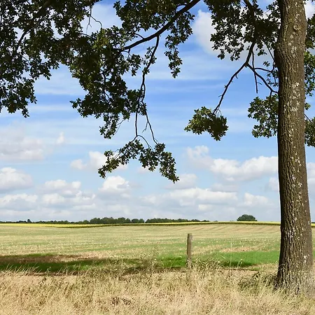 Bed & Breakfast De Hagendoorn